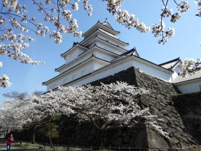 ’１８　福島 桜＆100名城さんぽ１２　桜の咲く鶴ヶ城②（天守閣の周辺散策）