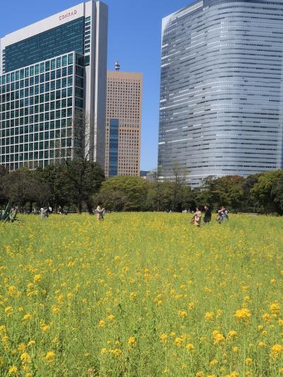 浜離宮恩賜庭園1/3　お花畑・潮入の池付近（ビル街の安らぎ空間）☆御茶屋建築の復元も