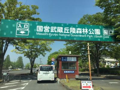 「国営武蔵丘陵森林公園」は自然が一杯。気持ちよくサイクリングしました！