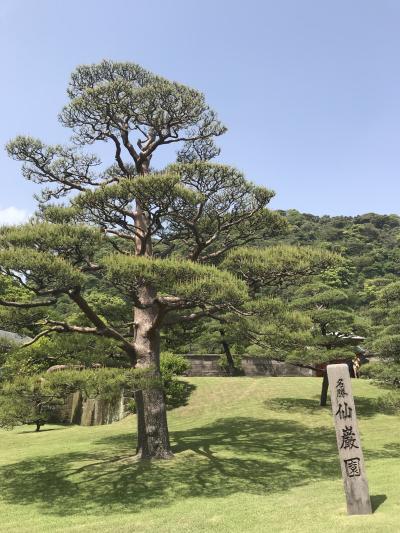 忘れの里雅叙苑宿泊4/14-/15②天降川を眺めながら朝食をして仙巌園観光をして帰京