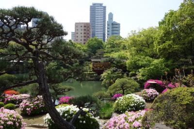 つつじ愛でつつぶらぶら散歩の相楽園と北野異人館通りを少し。