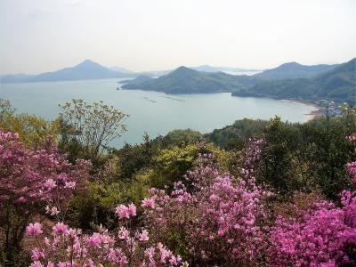 春のしまなみ海道