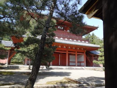 船岡山公園(建勲神社)～今宮神社～大徳寺