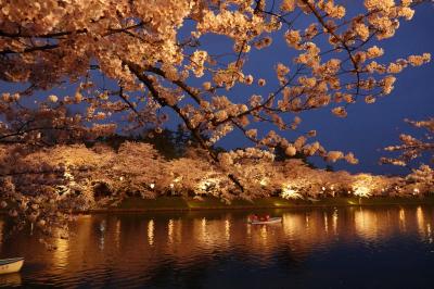 1回は見たかった 弘前城の桜 2018