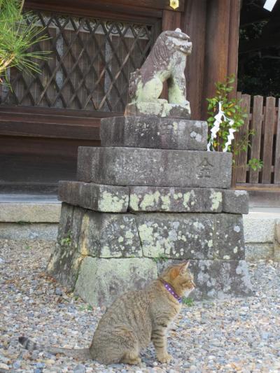 とにかく京都にいきたくて 前編