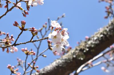 ハートが見えた！亀岩の洞窟と久留里城