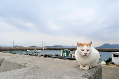 【2018年4月】香川県うどん旅(2)フェリーで男木島、そして栗林公園へ