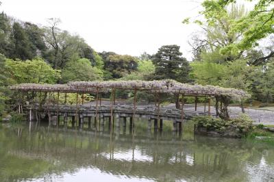 ムラゴンの旅日記 春の京都御苑散策
