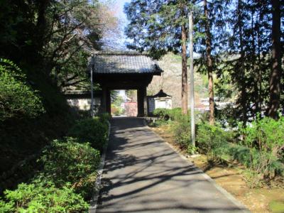 駿河興津　鎌倉時代に地頭として当地を支配し南北朝時代では守護大名の足利一門今川氏駿河入府を迎えて臣属した在地領主『興津氏居館』訪問