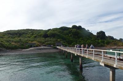 2018★ニュージーランド北島ひとり旅・最終回　ティリティリマタンギ島