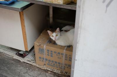 香港バス旅2018 (2)ぶらぶら散歩とお土産編