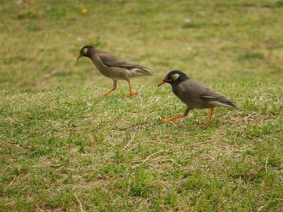 上福岡中央公園にて