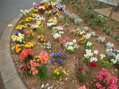 上福岡駅西口ロータリー付近の花壇が美しい