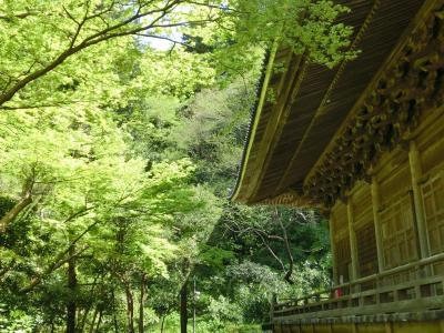 新緑の鎌倉と花まつり　妙本寺・本覚寺