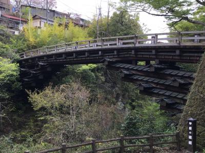 期限間近の青春18きっぷを使い切る週末一日目　～日本三奇橋　猿橋～