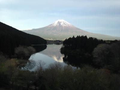 今年も富士国民休暇村に行きました。