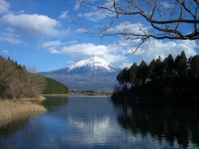 富士山を愛でる