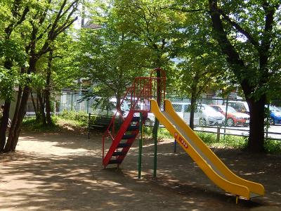 新緑の西鶴ケ岡公園にて