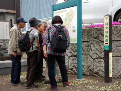 大山街道を歩く（江田～長津田）