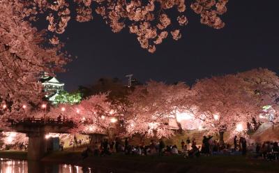 愛知県　佐奈川の桜と岡崎の夜桜