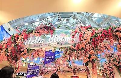 GWのソウルでグルメ&街歩き2018(1)「明洞」