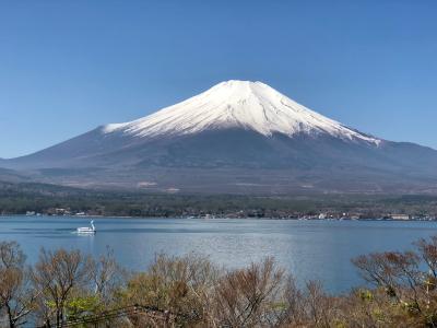 相棒犬ハッチと富士山三昧の旅！