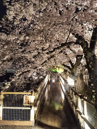 2018年4月　青森　1日目  後半