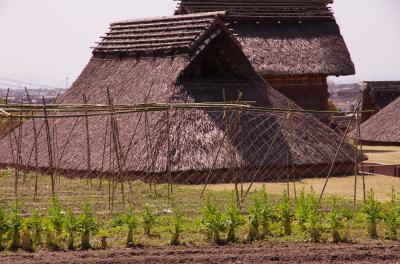 九州 自転車 一周 佐賀編