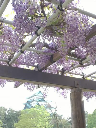 遠征寄道記 名古屋