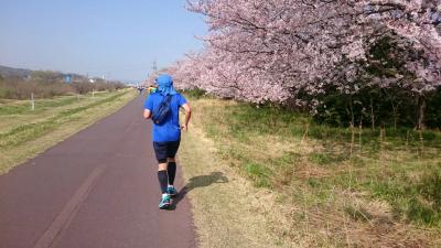 内地で初マラソン 『こりゃ多摩ラン』はたまらんかった