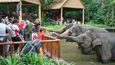 動物園とＵＳＳだけのシンガポール旅　その１はシンガポール動物園