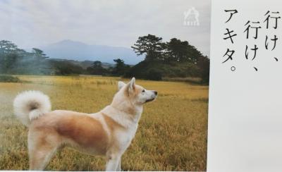 秋田桜の千秋公園　効き湯の男鹿温泉