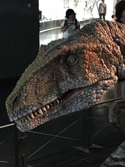 恐竜博物館と福井名物を食す。