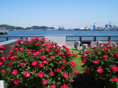 2018 GWぶらりグルメ散歩（１）～横須賀 薔薇と軍港