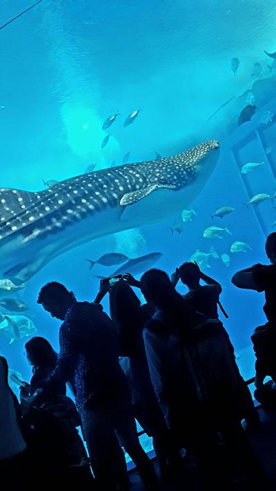 なんとなく沖縄‼2日目