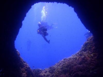 クロアチア　フヴァル（Hvar）島でのダイビング