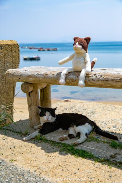 友に捧ぐ！久しぶりのメンバーで通称ネコ島、相島へ♪