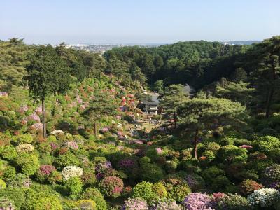 新東京百景・花と歴史の寺・塩船観音寺のつつじまつりに行ってきました！