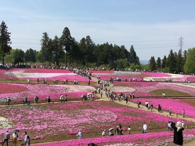 ちちんぶいぶい秩父で芝桜を見てきました！