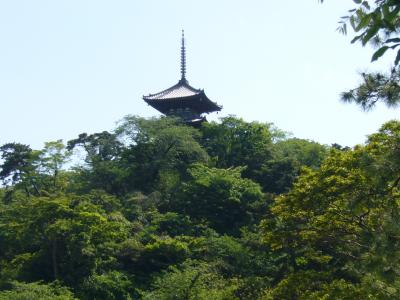 文化財の宝庫　横浜三渓園に行きました