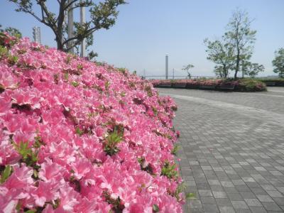 臨港パークでのんびり