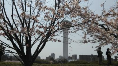 小１と行く、函館日帰り旅。