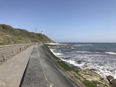 レール&レンタカーの日帰り旅：名古屋発。静岡県の城跡巡り（横須賀城跡～高天神城跡）～御前崎。豊橋市の二川宿。 