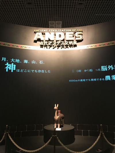 上野でアンデス展(2018年1月)