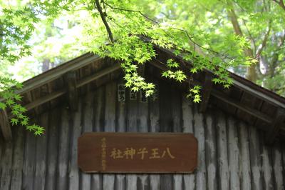 八王子城址　懲りずに登るの巻