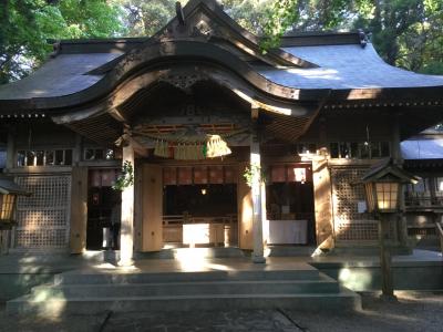 高千穂神社~国見ヶ丘からの景色を眺めて見よう