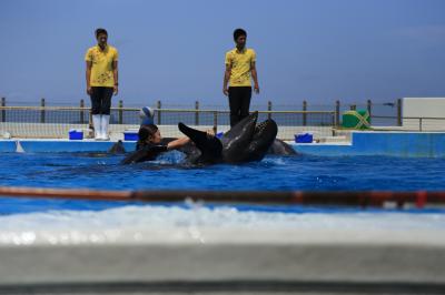 ２１日目にしてやっと美ら海海洋公園に到着