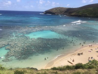 2018初ハワイ 夫婦で記念日旅行  6日目