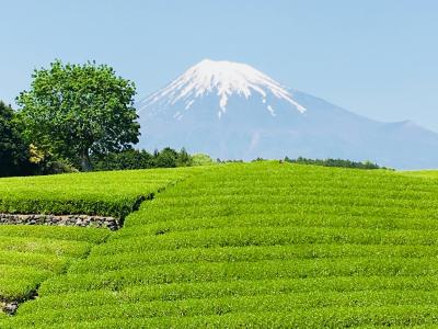 ぴーかん富士三昧