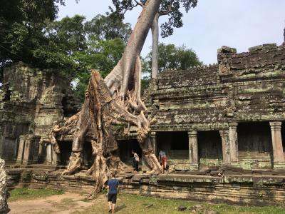 アンコール遺跡ツアー⑦　Ta Prohm